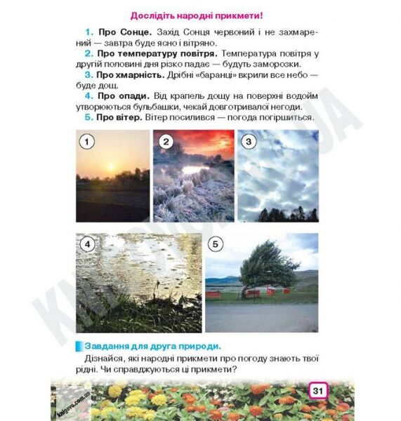 Підручник Природознавство 2 клас Нова програма Авт: І. Грущинська Вид-во: Освіта - фото 3
