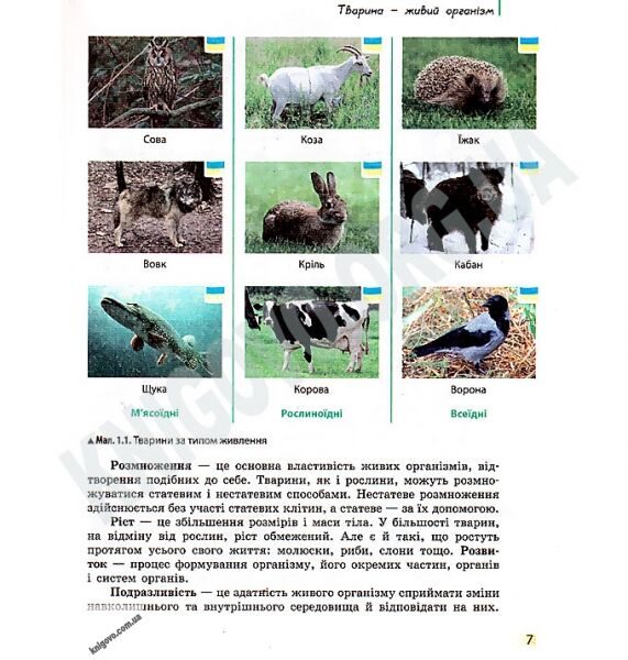 Підручник Біологія 7 клас Нова програма Авт: Запорожець Н. та ін. Вид-во: Ранок - фото 4