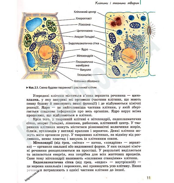 Підручник Біологія 7 клас Нова програма Авт: Запорожець Н. та ін. Вид-во: Ранок - фото 1