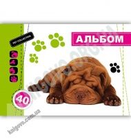 Альбом для малювання Рet Collection Шарпей 40 аркушів Код 260136 Ranok Альбом для малювання Рet Collection Шарпей 40 аркушів Код 260136 Ranok - Канцелярські товари