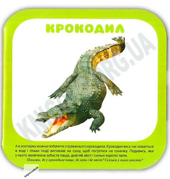 Мої перші книжки Малюшарики Тварини зоопарку Вид: Торсінг - фото 3