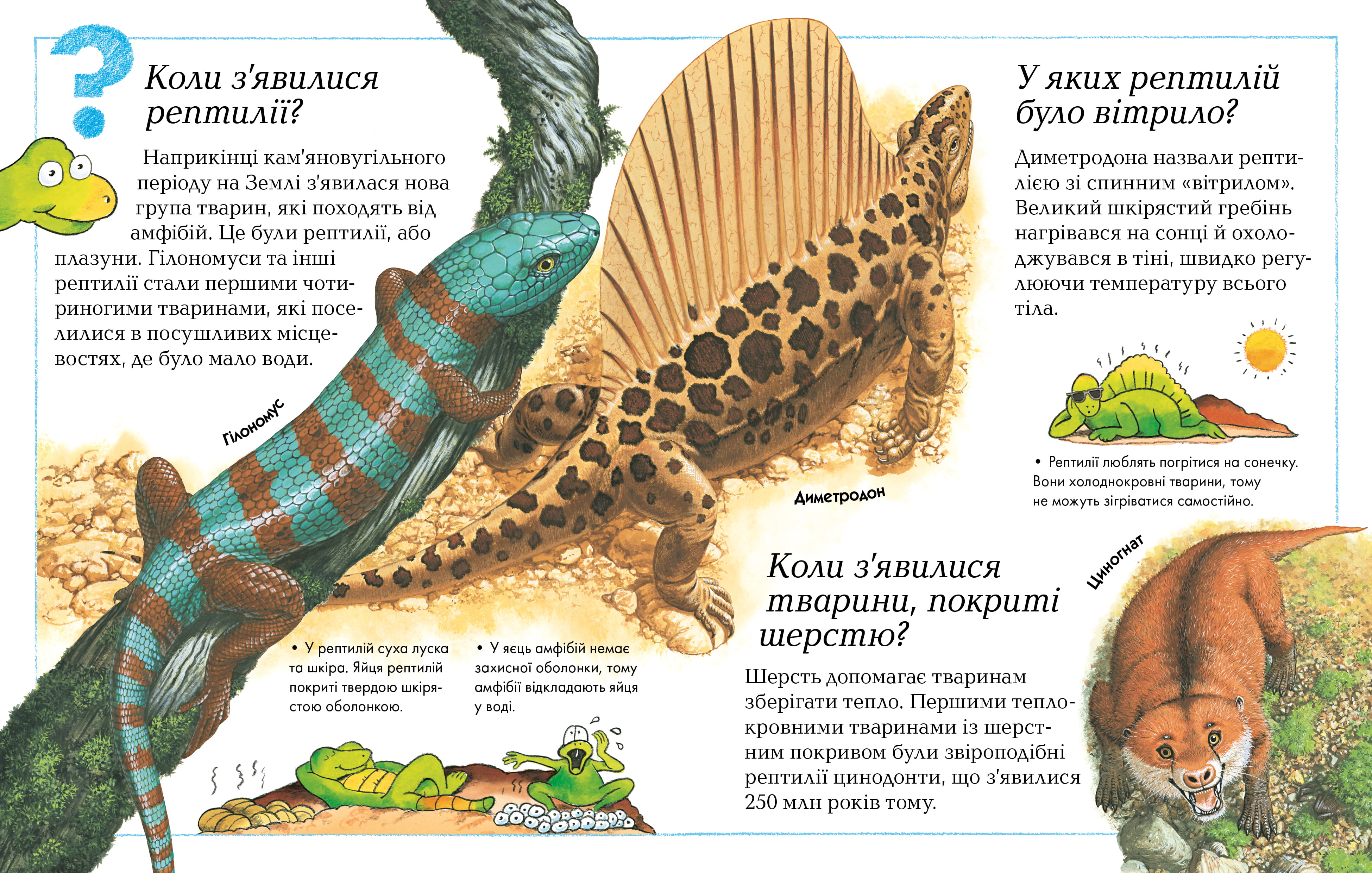 Де, що і коли? - фото 3