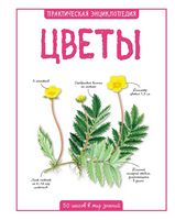 Цветы