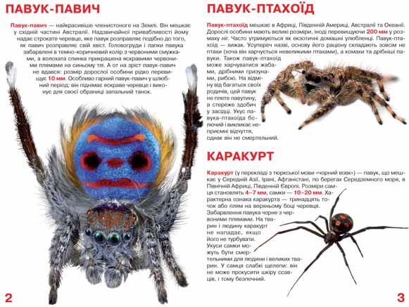 Велика книжка. Павуки - фото 2
