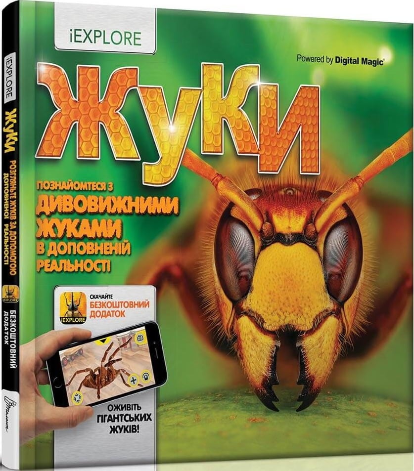 Жуки