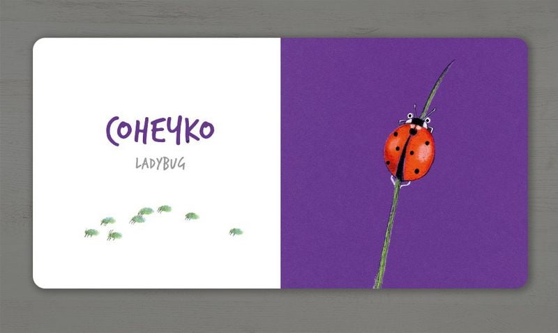 Комахи (УКР) - фото 3