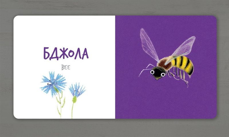 Комахи (УКР) - фото 4