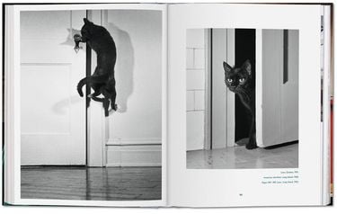Walter Chandoha. Cats. Photographs 1942–2018 Авт: Susan Michals Вид-во: Taschen - фото 2