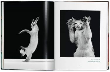 Walter Chandoha. Cats. Photographs 1942–2018 Авт: Susan Michals Вид-во: Taschen - фото 3