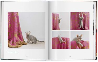 Walter Chandoha. Cats. Photographs 1942–2018 Авт: Susan Michals Вид-во: Taschen - фото 4