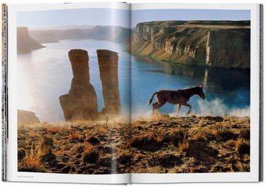 Steve McCurry. Animals Авт: Reuel Golden Вид-во: Taschen - фото 3