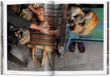 Steve McCurry. Animals Авт: Reuel Golden Вид-во: Taschen - фото 5