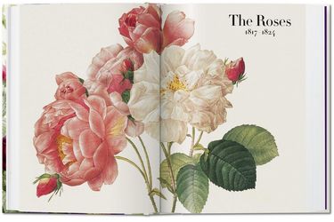 Redouté. The Book of Flowers Авт: H. Walter Lack Вид-во: Taschen - фото 4