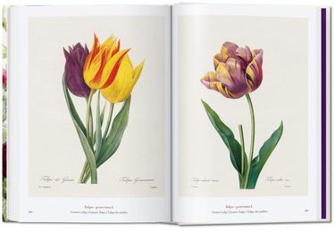 Redouté. The Book of Flowers Авт: H. Walter Lack Вид-во: Taschen - фото 7