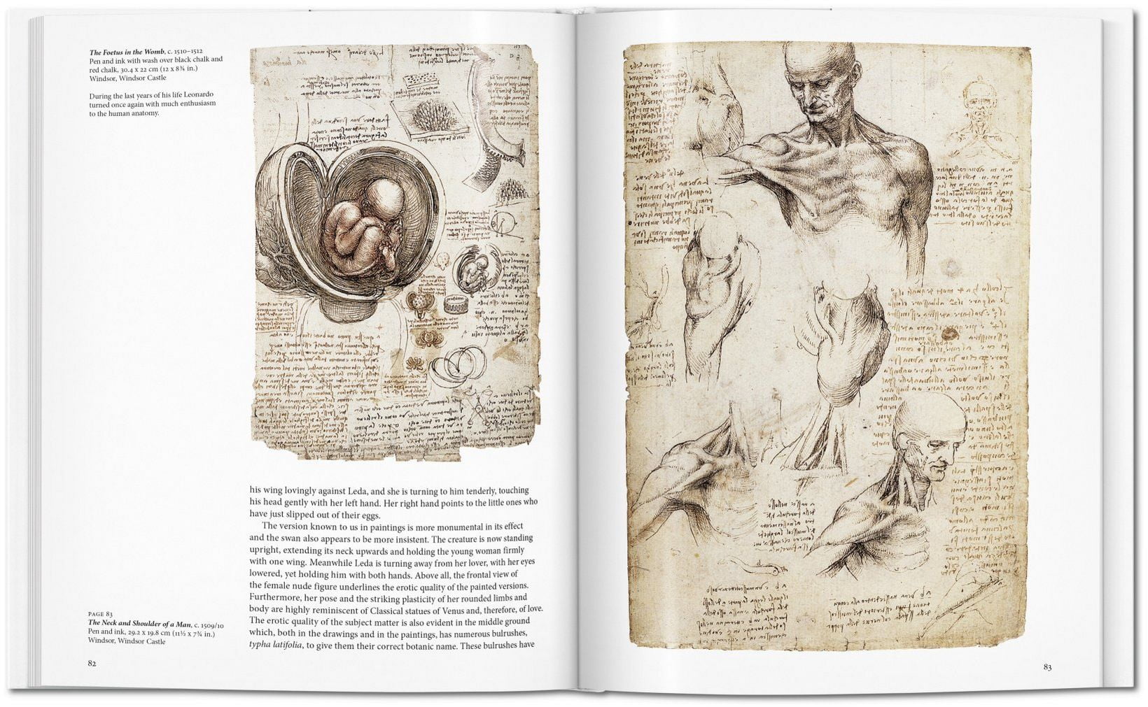 Leonardo Авт: Frank Zollner Вид-во: Taschen - фото 6