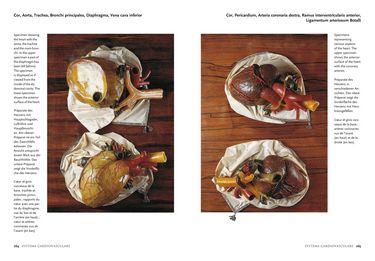 Encyclopedia Anatomica Авт: Marta Poggesi Вид-во: Taschen - фото 4