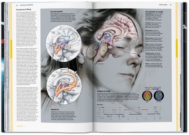 National Geographic Infographics Авт: Julius Wiedemann Вид-во: Taschen - фото 4