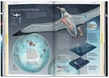 National Geographic Infographics Авт: Julius Wiedemann Вид-во: Taschen - фото 6