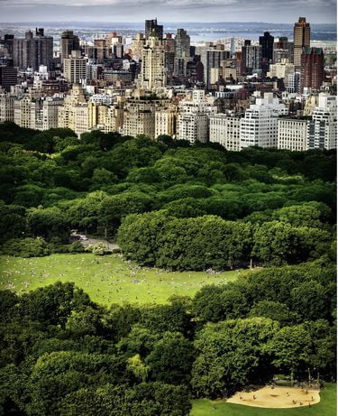 Chasing Paradise Авт: David Drebin Вид-во: teNeues - фото 4