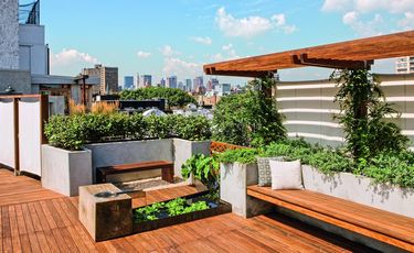 Living Roofs Авт: Ashley Penn Вид-во: teNeues - фото 3