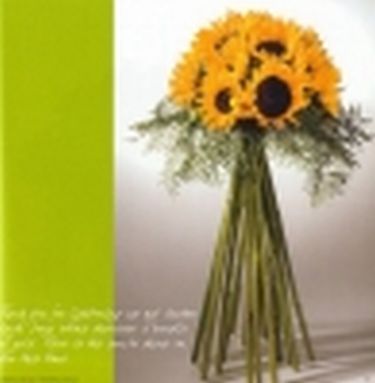 The Bouquet Talks Авт: Isabelle Persyn Вид-во: Stichting Kunstboek - фото 3