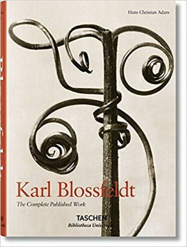 Karl Blossfeldt Авт: Hans Christian Adam Вид-во: Taschen - фото 1