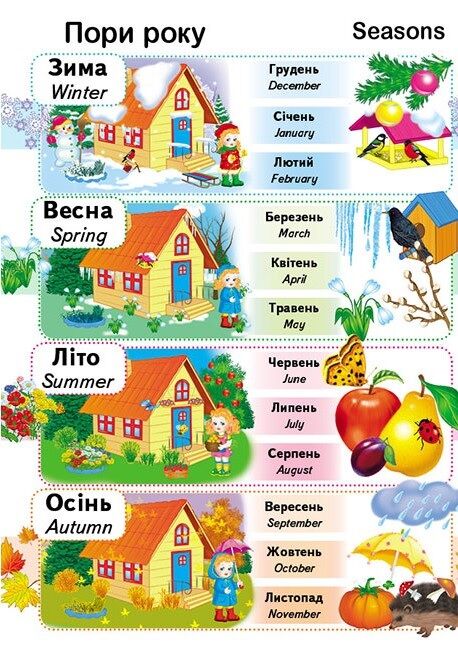 Перші знання малюка + англійська - фото 4