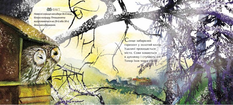 Сюрприз для сов - фото 2