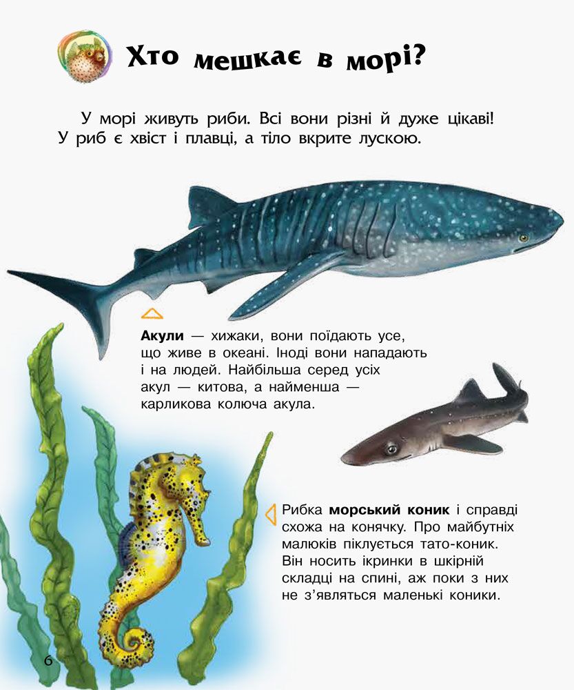 Океани та моря - фото 2