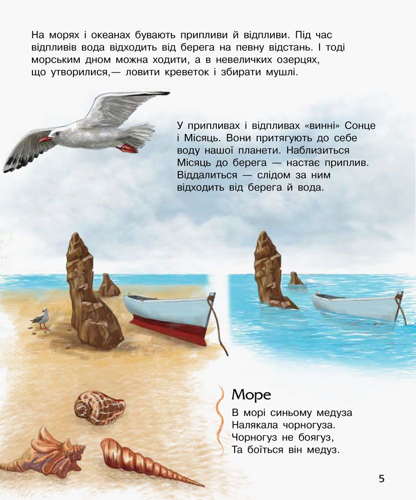 Океани та моря - фото 3