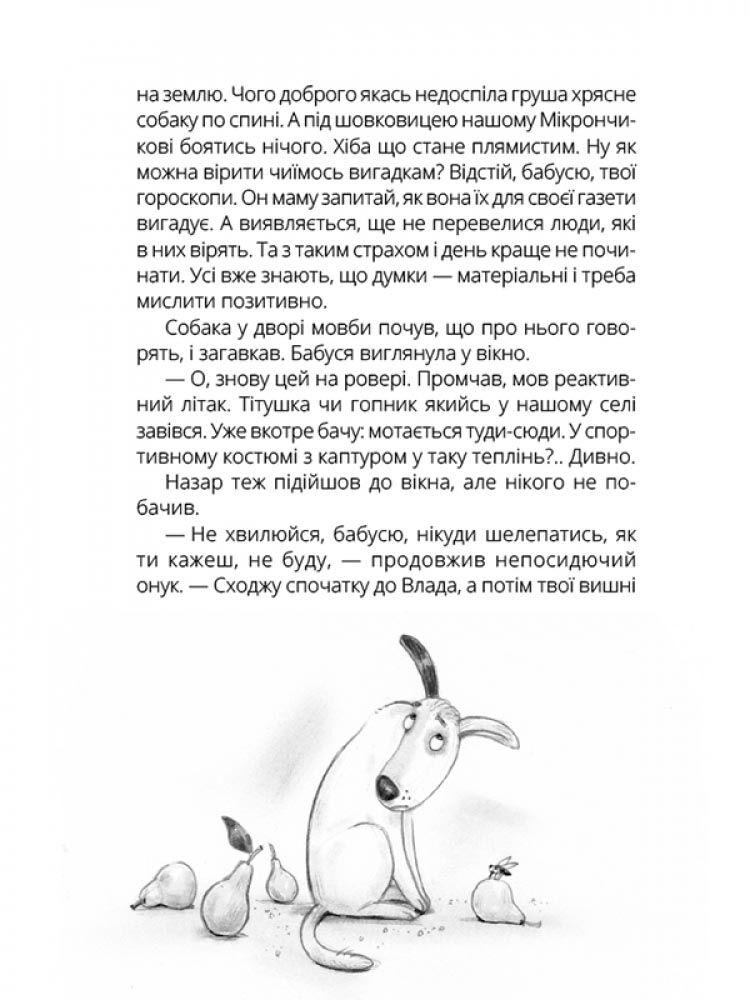НЛО за селом - фото 4