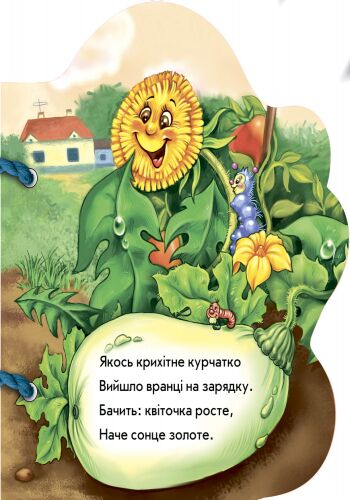Курчатко - фото 3