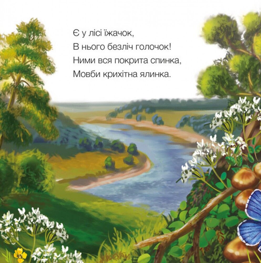 Їжачок - фото 5