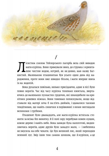 Червона шийка - фото 6