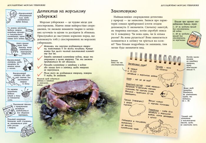 Океанічні й морські узбережжя - фото 3
