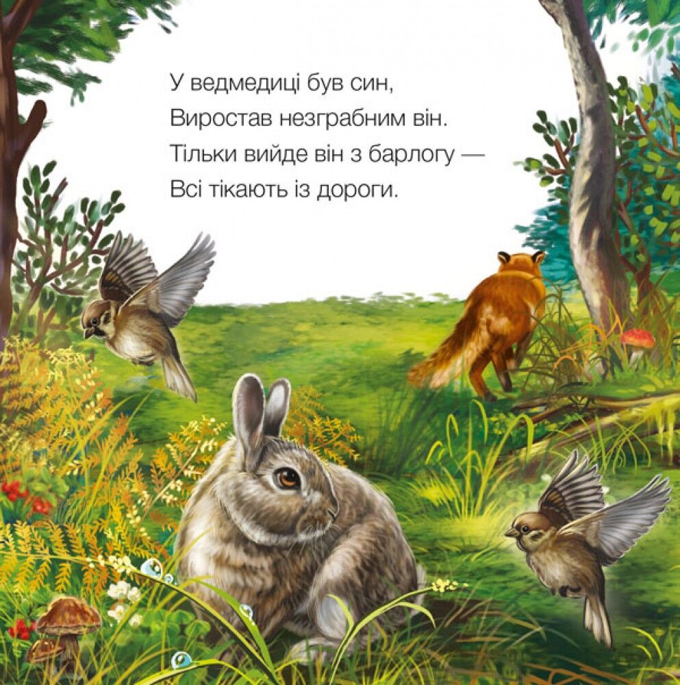 Ведмедик - фото 5