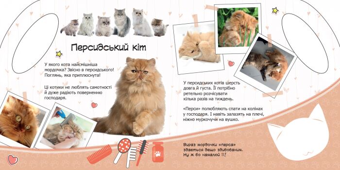 Котики - фото 3