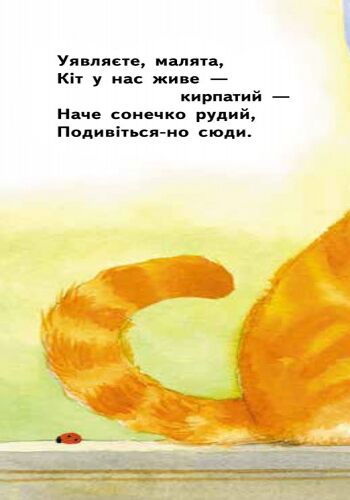 Кирпатий Кіт - фото 4