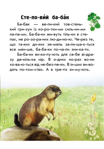 Тваринний світ лугів і степів - фото 3