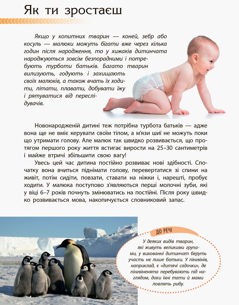 Енциклопедія Людина та її тіло Пізнаємо та досліджуємо Ранок - фото 4