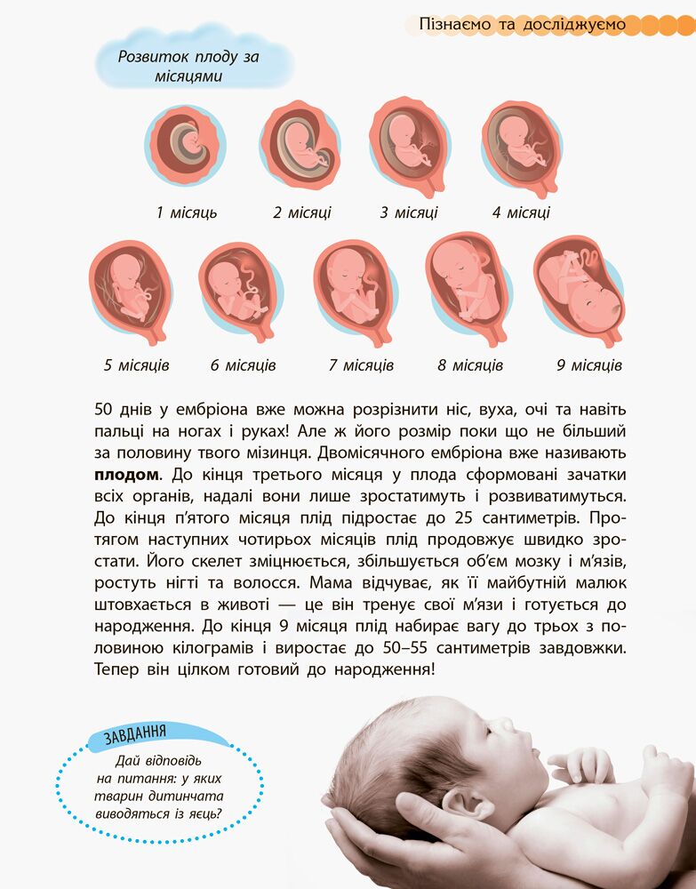Енциклопедія Людина та її тіло Пізнаємо та досліджуємо Ранок - фото 5