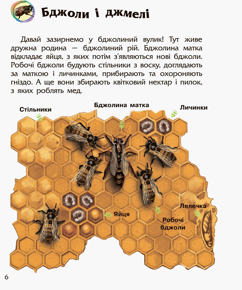 Комахи Енциклопедія дошкільника Каспарова Ю. Ранок - фото 2