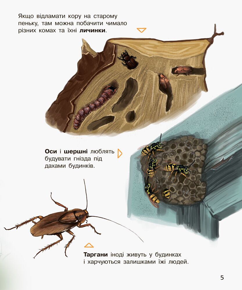 Комахи Енциклопедія дошкільника Каспарова Ю. Ранок - фото 3