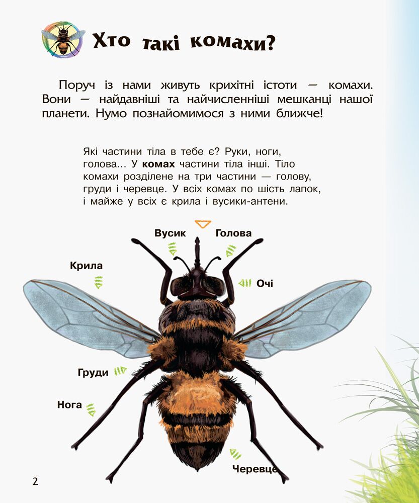 Комахи Енциклопедія дошкільника Каспарова Ю. Ранок - фото 6