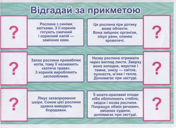 Розповімо дітям.Про лікарські рослини - фото 3