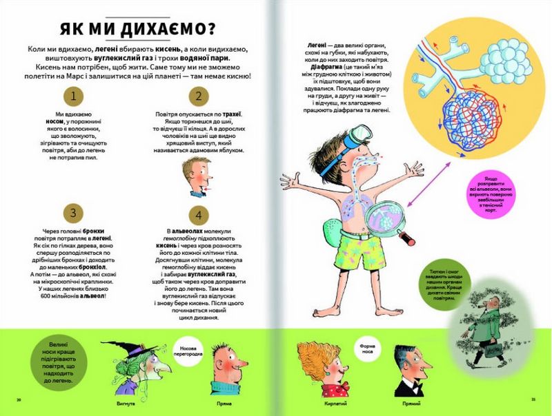 Тіло людини зовні - фото 3