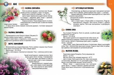 Рослини і тварини України - фото 2