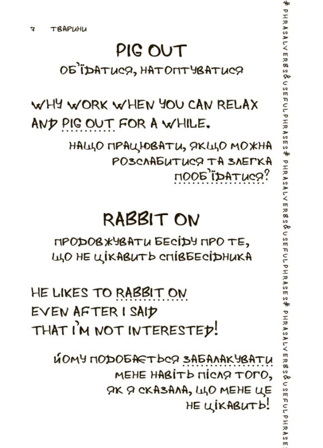 Visual English-Ukrainian Phrasal Verbs & Useful Phrases Handbook. Візуалізований англійсько-український довідник фразових дієслів та найуживаніших виразів. ВИД003 - фото 5
