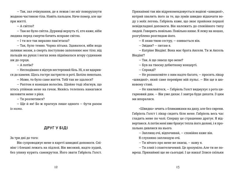 Дама з долини Авт: Кетіль Бйорнстад Вид-во: Видавництво Старого Лева - фото 4