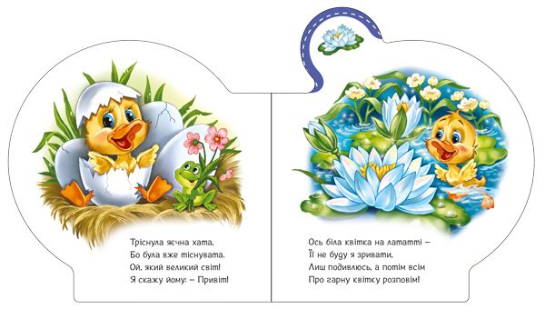 Все про каченятко - фото 4